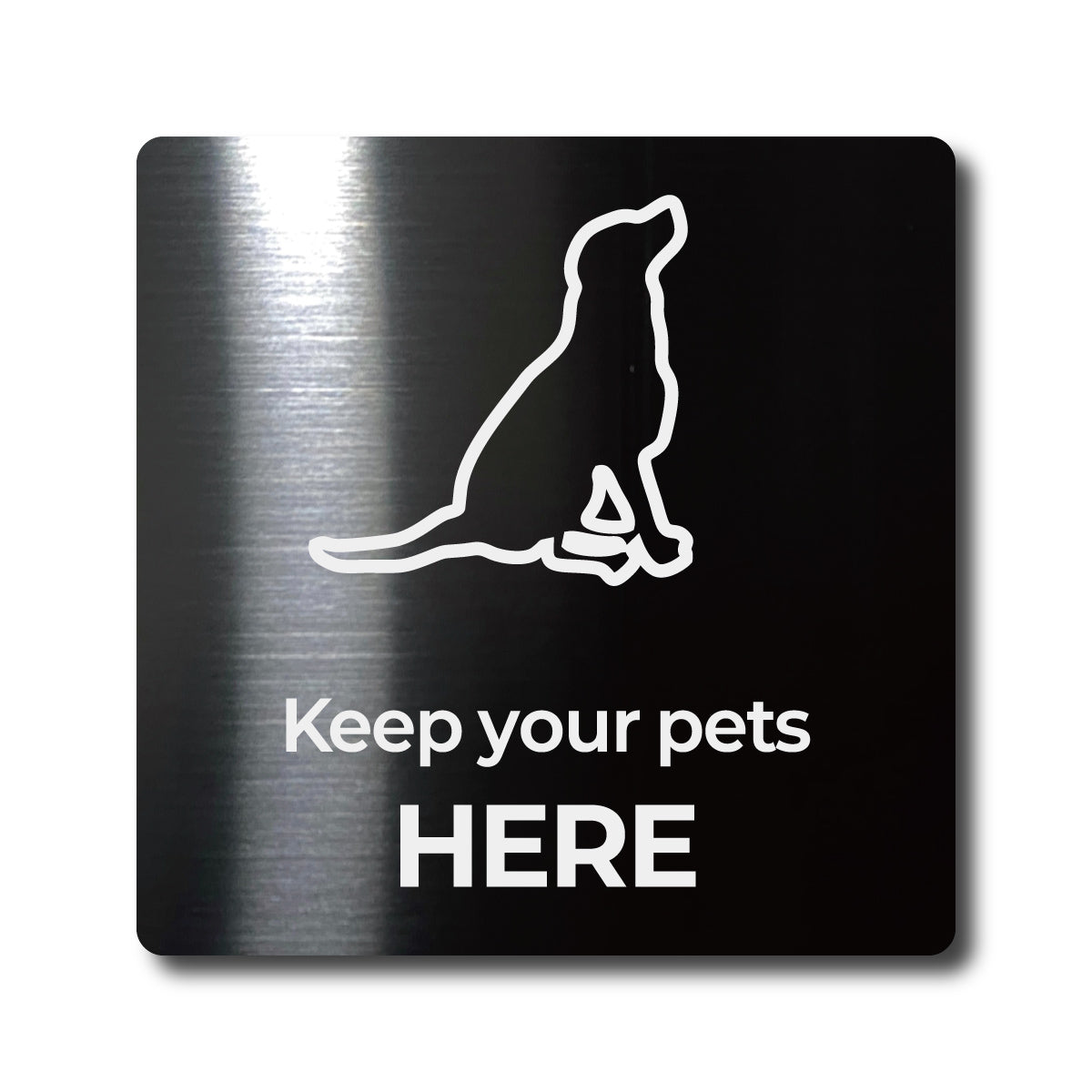 Medium Stainless Steel Adhesive Pictogram Wall Sign - Black