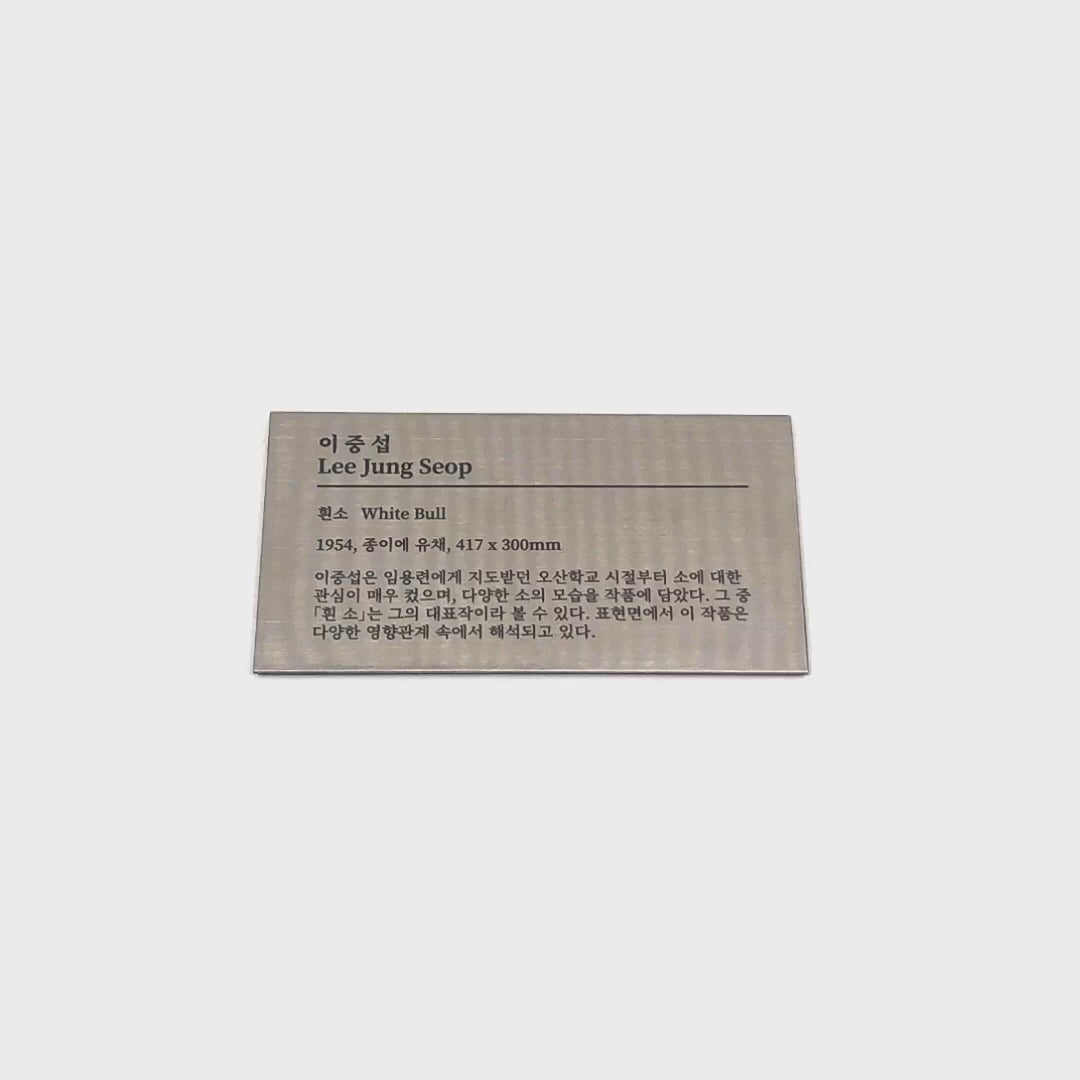 부착형 실버 스테인리스 레이저 각인 캡션 명판 M 제품 이미지
