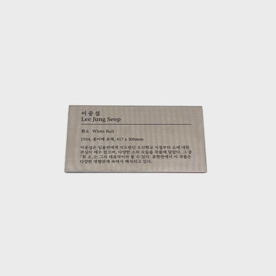 부착형 실버 스테인리스 레이저 각인 캡션 명판 M 제품 이미지
